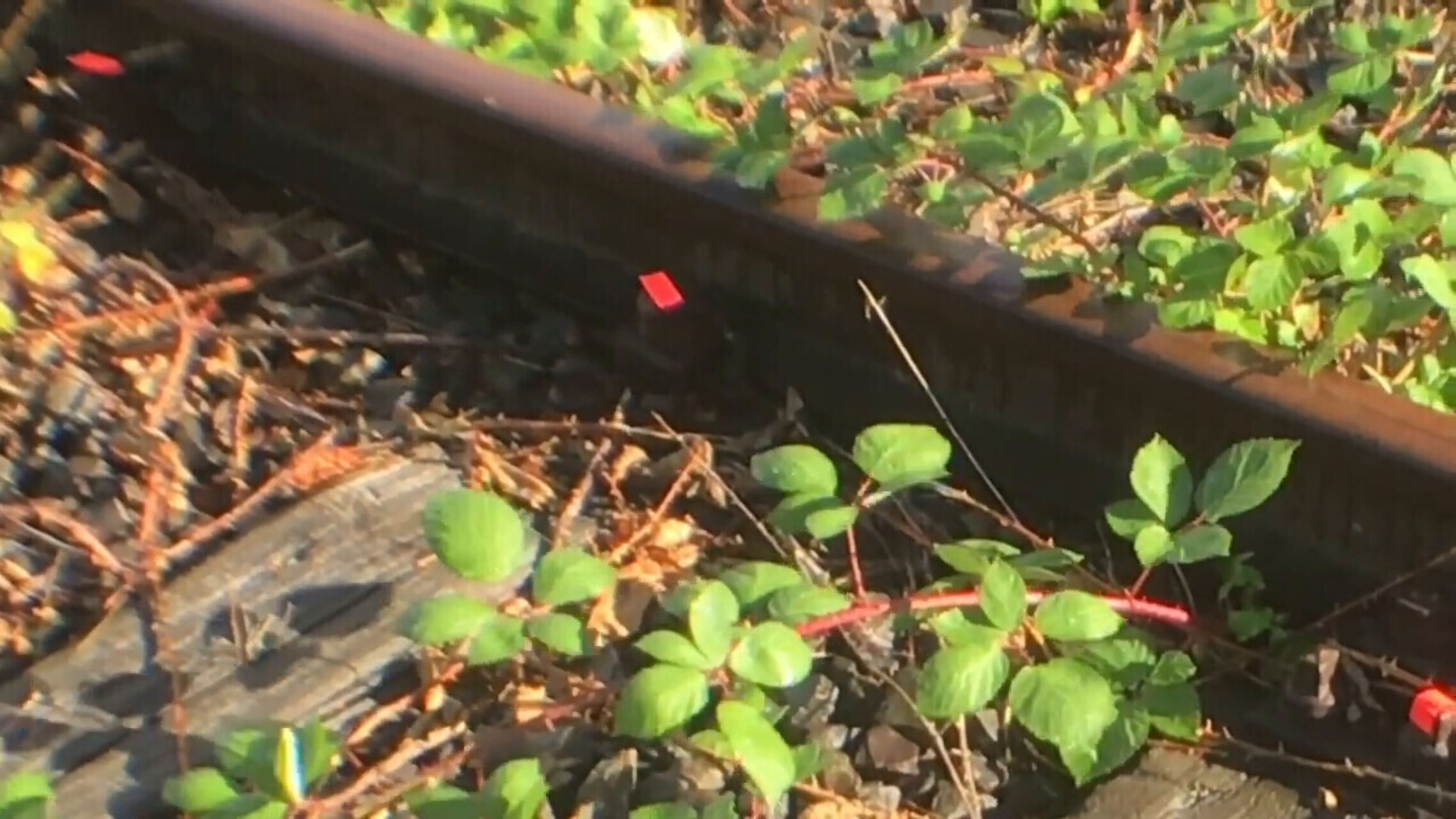 During the session / video-still / camera: Hanna Kim, cut: eeefff